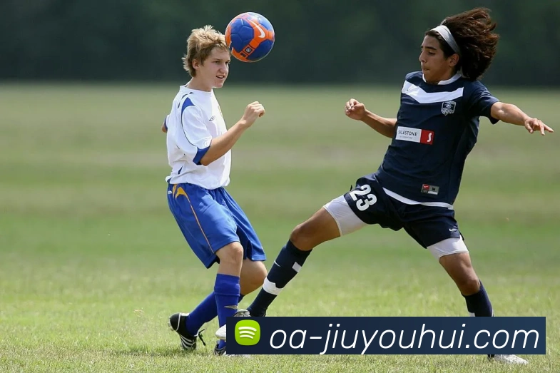 九游会J9官网发展历程